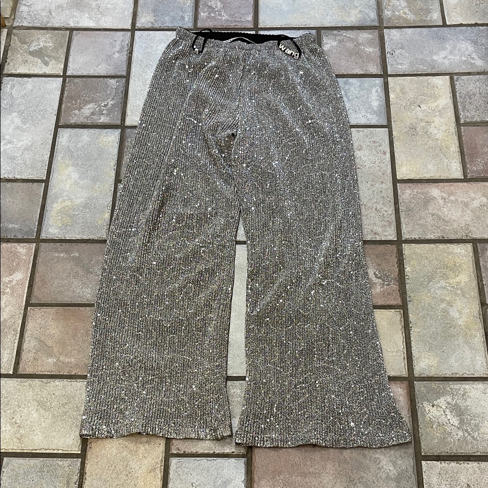 Alexander Wang Sparkle Pants.